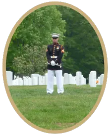 a single marine standing in arlington national cemetary